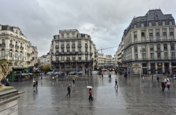 Zdjęcie: 20241117_132903.jpg