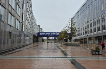 Zdjęcie: 20241119_100718.jpg