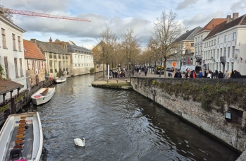 Zdjęcie: 20241118_114613.jpg