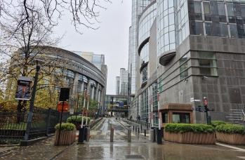 Zdjęcie: 20241119_100509.jpg