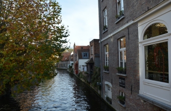 Zdjęcie: DSC_0118.JPG