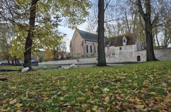 Zdjęcie: 20241118_110648.jpg