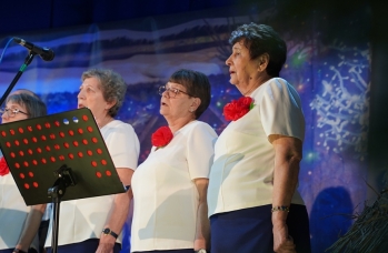 Zdjęcie: DSC04394.JPG