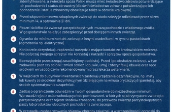 Zdjęcie: Pryszczyca plakat.jpg