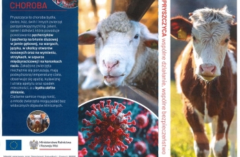 Zdjęcie: Pryszczyca plakat 2.jpg