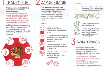 Zdjęcie: Pryszczyca info 2.jpg