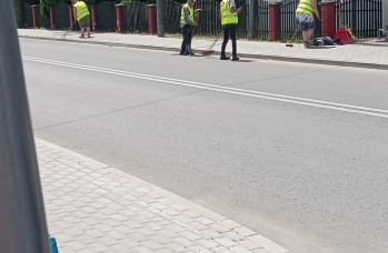 Zdjęcie: CIS 5.jpg