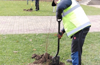 Zdjęcie: IMG_202511111111111029_123208.jpg