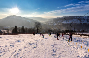 Zdjęcie: Zimowisko.png