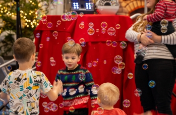 Zdjęcie: DSA00730.jpg