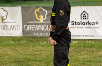 Zdjęcie: SEC04706-40.jpg