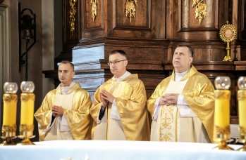 Zdjęcie: Foto_113.jpg