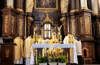 Zdjęcie: Foto_139.jpg