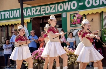 Zdjęcie: Foto_364.jpg
