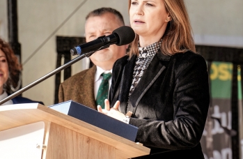 Zdjęcie: Foto_260.jpg