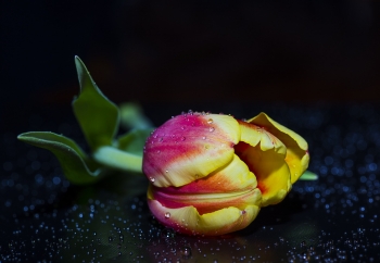 Zdjęcie główne dla: 'Kondolencje. Zmarł Bronisław Kisiel, wieloletni pracownik Urzędu Miasta i Gminy w Sieniawie' 