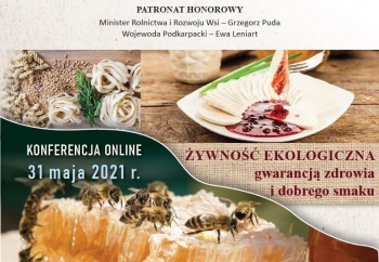Zdjęcie główne dla: 'Konferencja online 