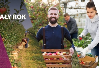 Zdjęcie główne dla: 'Praca sezonowa z EURES - kampania informacyjna Rights for all seasons/Prawa przez cały rok' 