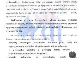 Zdjęcie główne dla: 'Szczepienia lisów wolno żyjących przeciwko wściekliźnie - komunikat' 