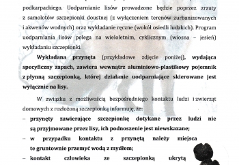 Zdjęcie główne dla: 'Akcja szczepienia lisów wolno żyjących przeciwko wściekliźnie - komunikat' 