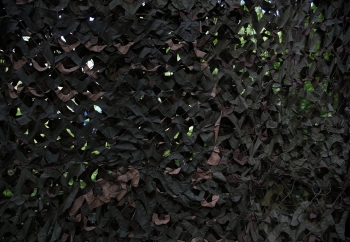 Zdjęcie główne dla: 'Pilne zapotrzebowanie na siatki maskujące - apel nauczycielek ze Lwowa' 