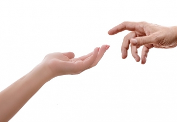 Zdjęcie główne dla: 'Program 