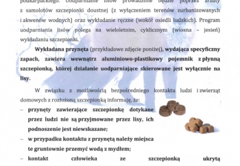 Zdjęcie główne dla: 'Wiosenna akcja szczepienia lisów wolno żyjących przeciwko wściekliźnie' 
