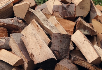 Zdjęcie główne dla: 'Prośba o poparcie - petycja w sprawie obniżenia stawki VAT' 