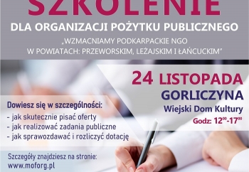 Zdjęcie główne dla: '„WZMACNIAMY PODKARPACKIE NGO W POWIATACH: PRZEWORSKIM, LEŻAJSKIM I ŁAŃCUCKIM”' 
