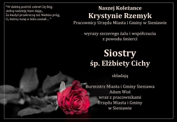 Zdjęcie główne dla: 'Kondolencje' 