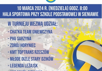 Zdjęcie główne dla: 'III Turniej Piłki Siatkowej o Puchar Burmistrza Miasta i Gminy Sieniawa' 