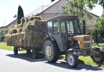 Zdjęcie główne dla: 'Rolnicy mogą już składać wnioski o oszacowanie strat' 