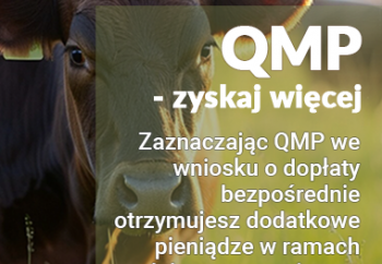 Zdjęcie główne dla: 'Bezpłatne webinary dla hodowców bydła'