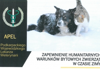 Zdjęcie główne dla: 'Apel o zapewnienie humanitarnych warunków bytowych zwierząt w czasie zimy' 