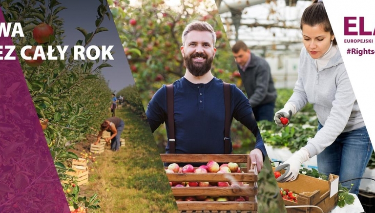 Zdjęcie główne newsa: Praca sezonowa z EURES - kampania informacyjna Rights for all seasons/Prawa przez cały rok