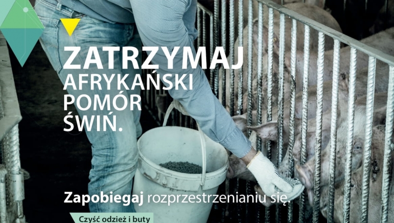 Zdjęcie główne newsa: Informacja Powiatowego Lekarza Weterynarii w Przeworsku, 25.08.2021 r.