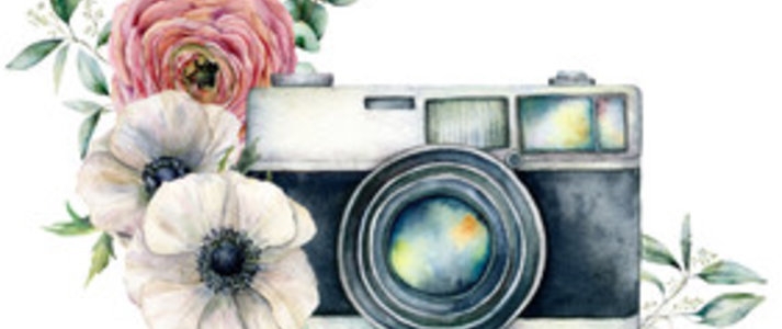 Zdjęcie główne newsa: „Projekty PROW w obiektywie” - konkurs fotograficzny UMWP dla szkół podstawowych