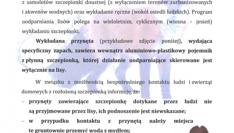 Zdjęcie główne newsa: Jesienna akcja szczepienia lisów wolno żyjących