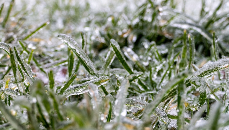 Zdjęcie główne newsa: Ostrzeżenie meteorologiczne, 23.02.2022 r.