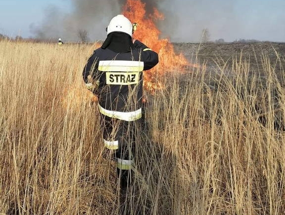 Zdjęcie główne newsa: Zakaz wypalania traw - apel
