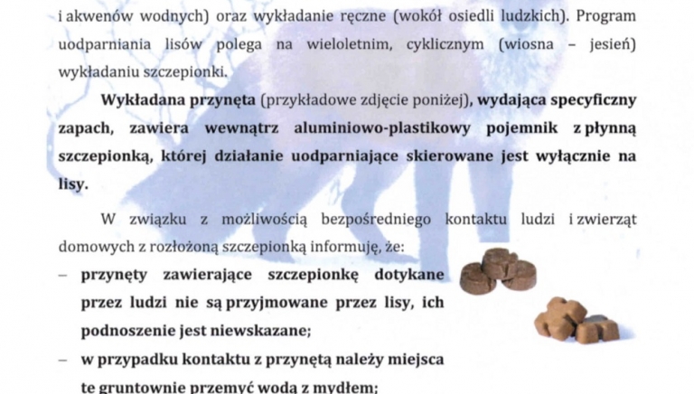 Zdjęcie główne newsa: Wiosenna akcja szczepienia lisów wolno żyjących przeciwko wściekliźnie