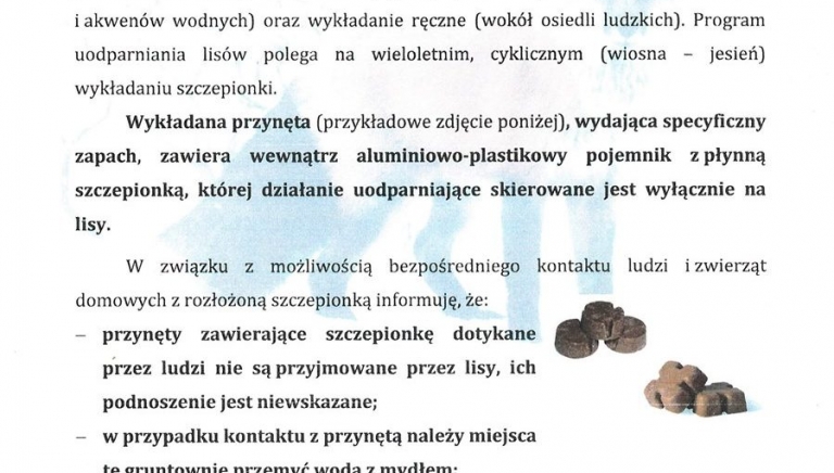 Zdjęcie główne newsa: Jesienna akcja szczepienia lisów wolno żyjących