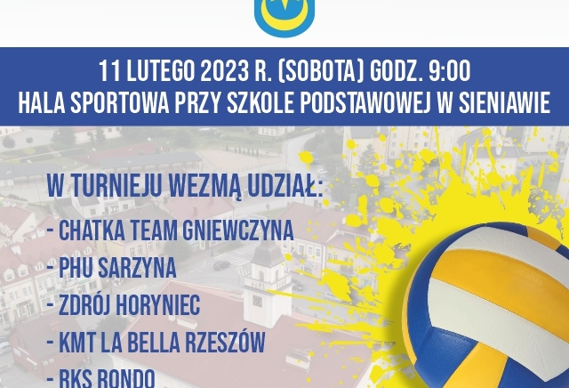 Zdjęcie główne newsa: II Turniej Piłki Siatkowej o Puchar Burmistrza Miasta i Gminy Sieniawa