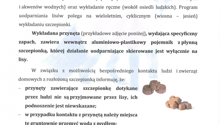 Zdjęcie główne newsa: Wiosenna akcja szczepienia lisów wolno żyjących przeciwko wściekliźnie