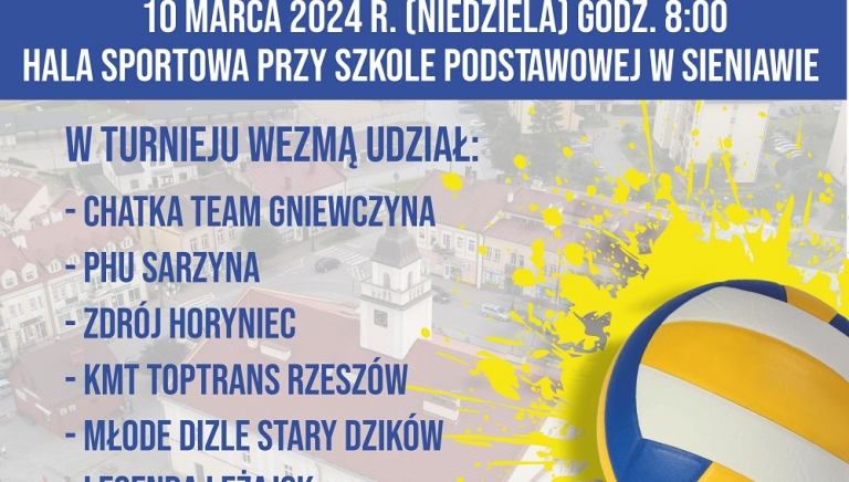 Zdjęcie główne newsa: III Turniej Piłki Siatkowej o Puchar Burmistrza Miasta i Gminy Sieniawa
