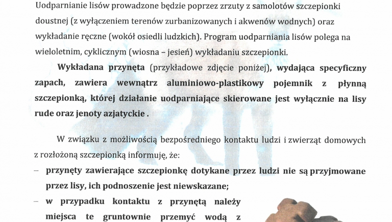 Zdjęcie główne newsa: Komunikat - jesienna akcja szczepienia lisów 2024