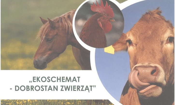 Zdjęcie główne newsa: Bezpłatne szkolenie dla rolników - „Ekoschemat – dobrostan zwierząt”.
