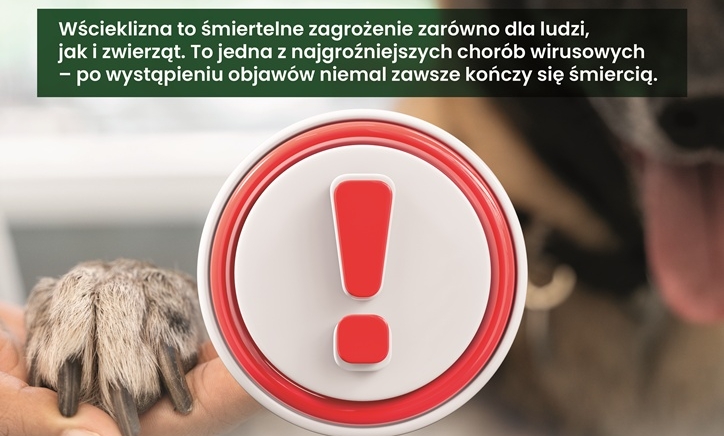 Zdjęcie główne newsa: Wścieklizna - śmiertelne zagrożenie dla ludzi i zwierząt