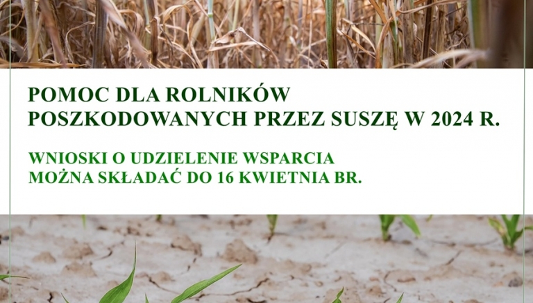 Zdjęcie główne newsa: Informacja dla producentów rolnych w których gospodarstwach rolnych wystąpiły szkody w uprawach rolnych spowodowane w roku 2024 wystąpieniem suszy.