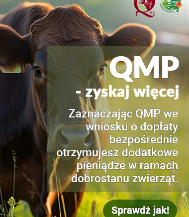 Zdjęcie główne newsa: Bezpłatne webinary dla hodowców bydła